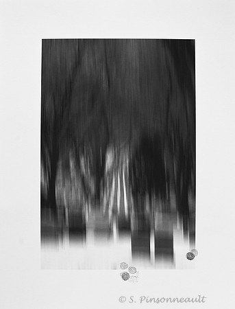 Genèse 4