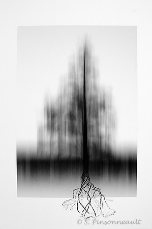 Genèse 3