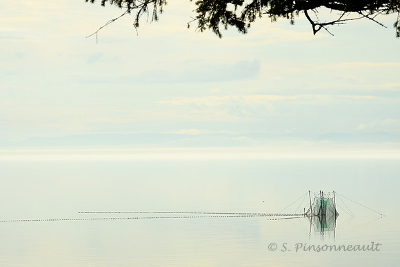 Fascine / Eel fishing